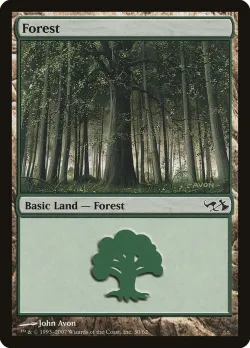 Forest 「DD1/30」「EN」