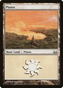 Plains 「DDC/29」「EN」