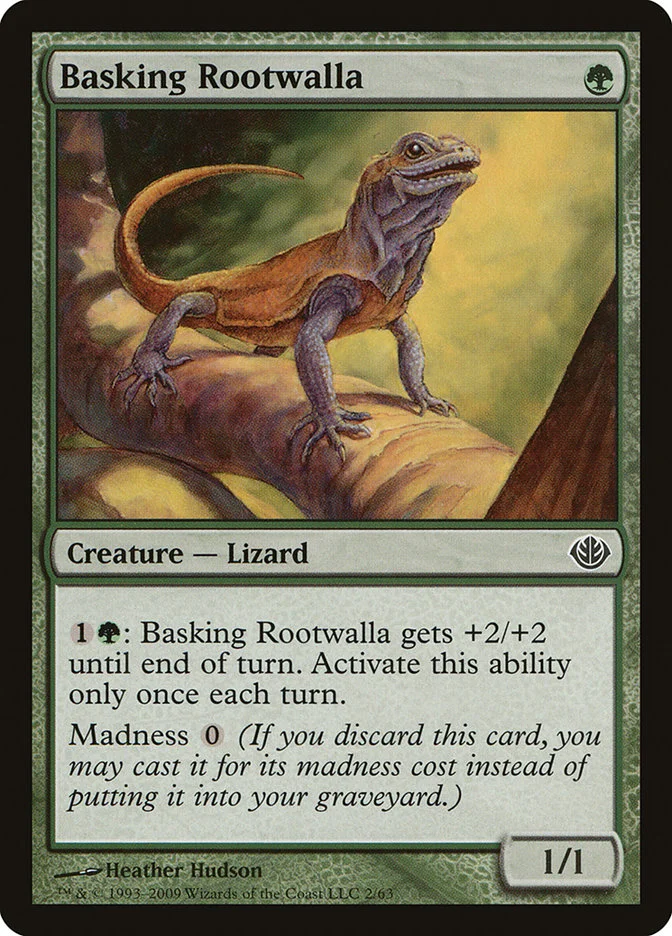 Basking Rootwalla 「DDD/2」「EN」