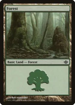 Forest 「DDD/28」「EN」