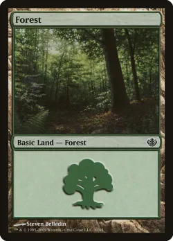 Forest 「DDD/30」「EN」