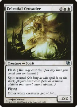 Celestial Crusader #14 · Magic: The Gathering