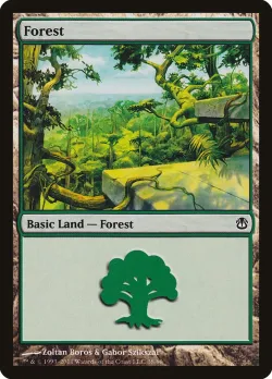 Forest 「DDH/38」「EN」