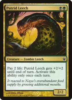 Putrid Leech 「DDJ/53」「EN」