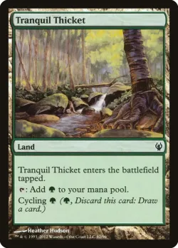 Tranquil Thicket 「DDJ/82」「EN」