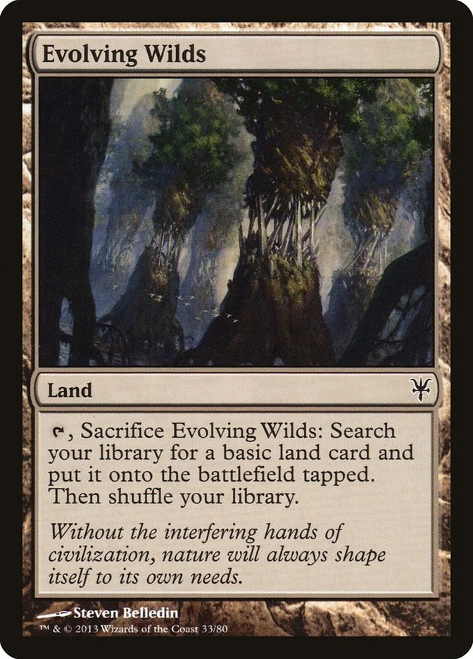 Evolving Wilds 「DDK/33」「EN」
