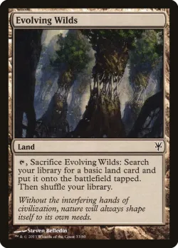 Evolving Wilds 「DDK/33」「EN」