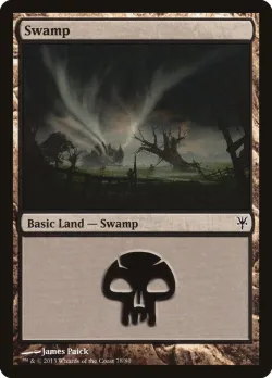 Swamp 「DDK/78」「EN」