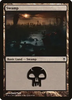 Swamp 「DDK/80」「EN」