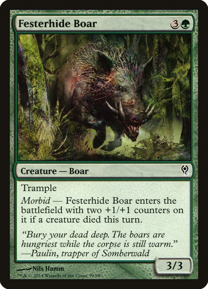 Festerhide Boar 「DDM/59」「EN」