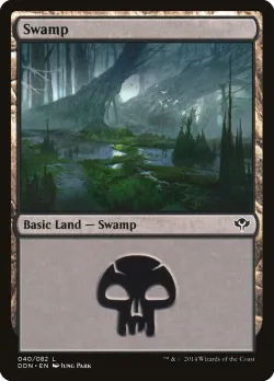 Swamp 「DDN/40」「EN」
