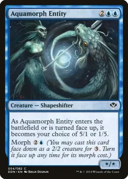 Aquamorph Entity 「DDN/54」「EN」