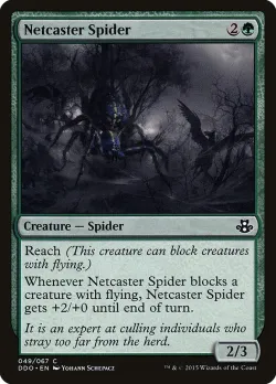 Netcaster Spider 「DDO/49」「EN」