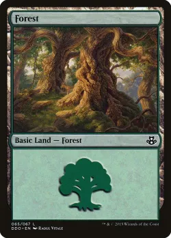 Forest 「DDO/65」「EN」