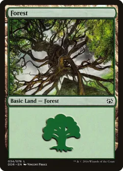 Forest 「DDR/34」「EN」