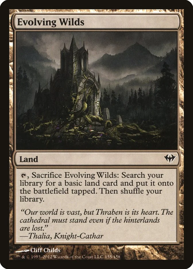 Evolving Wilds 「DKA/155」「EN」