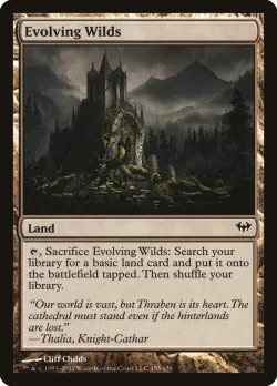 Evolving Wilds 「DKA/155」「EN」