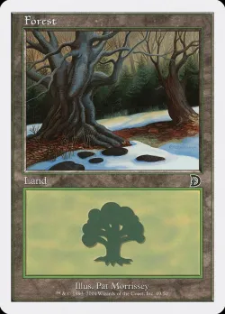 Forest 「DKM/49」「EN」