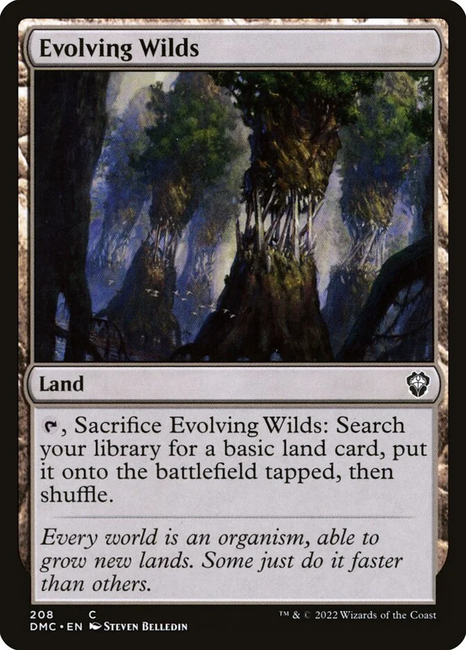 Evolving Wilds 「DMC/208」「EN」