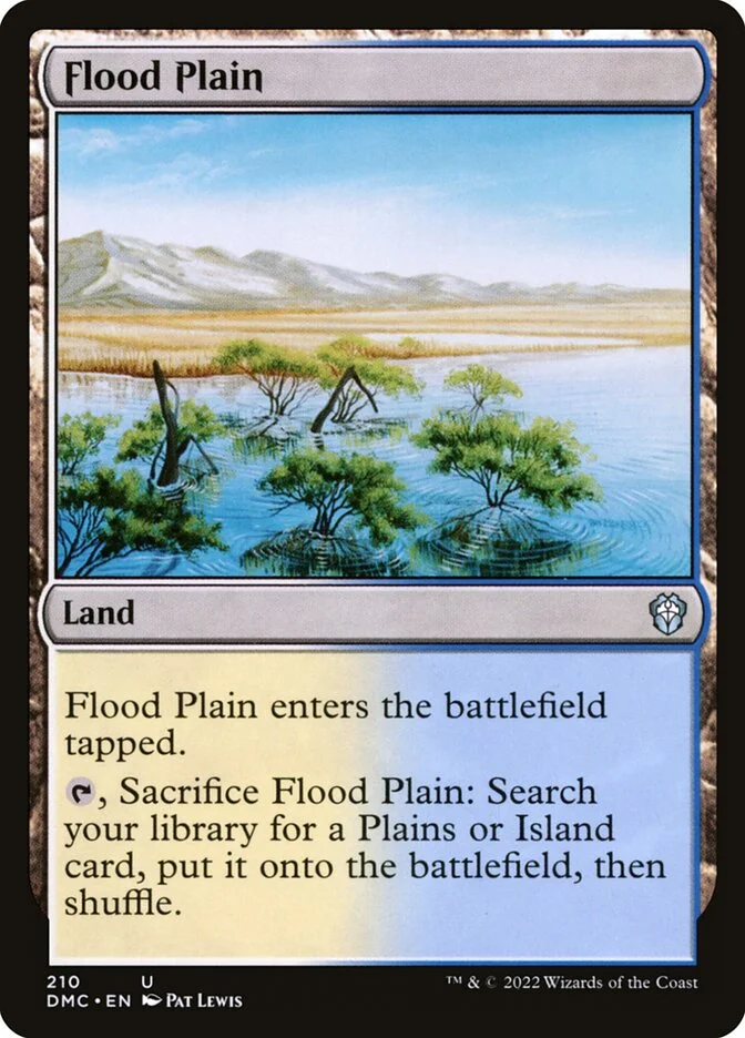 Flood Plain 「DMC/210」「EN」