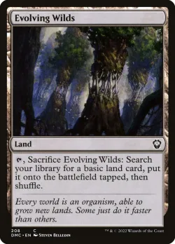 Evolving Wilds 「DMC/208」「EN」