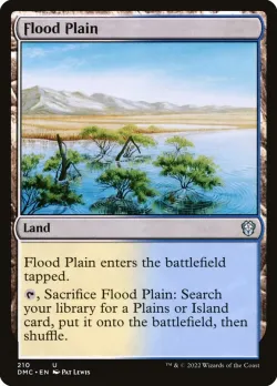 Flood Plain 「DMC/210」「EN」