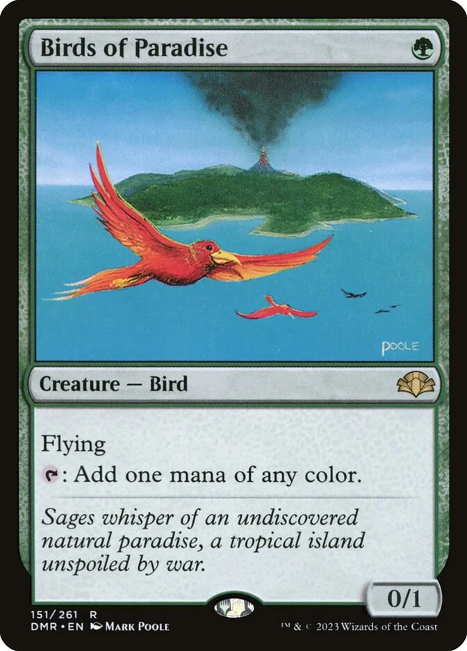Birds of Paradise 「DMR/151」「EN」