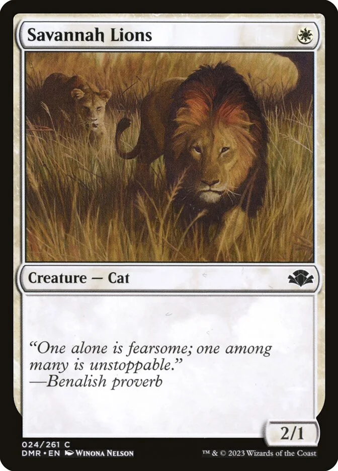 Savannah Lions 「DMR/24」「EN」