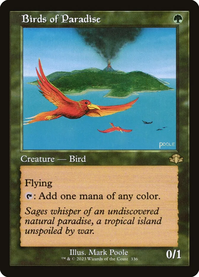Birds of Paradise 「DMR/336」「EN」