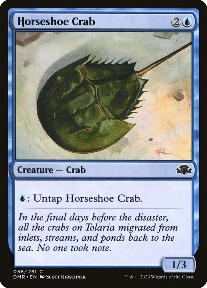Horseshoe Crab 「DMR/55」「EN」