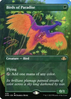 Birds of Paradise 「DMR/439」「EN」
