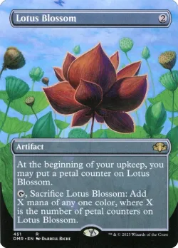 Lotus Blossom 「DMR/451」「EN」