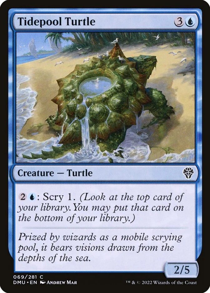 Tidepool Turtle 「DMU/69」「EN」
