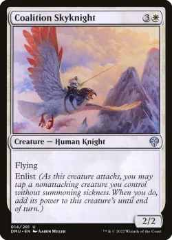 Coalition Skyknight #14 · Magic: The Gathering