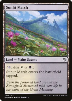 Sunlit Marsh #257 · Magic: The Gathering