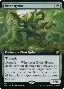 Briar Hydra 「DMU/427」「EN」