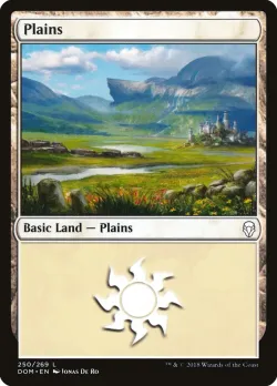 Plains 「DOM/250」「EN」