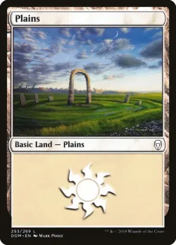 Plains 「DOM/253」「EN」