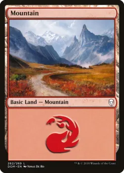 Mountain 「DOM/262」「EN」