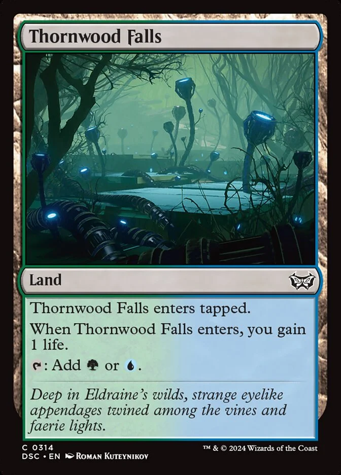 Thornwood Falls 「DSC/314」「EN」