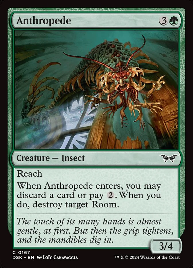 Anthropede 「DSK/167」「EN」
