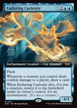 Enduring Curiosity 「DSK/371」「EN」