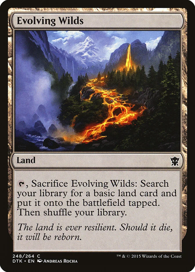 Evolving Wilds 「DTK/248」「EN」