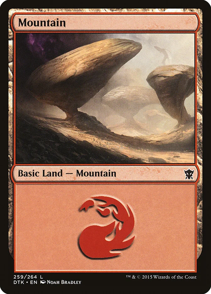 Mountain 「DTK/259」「EN」