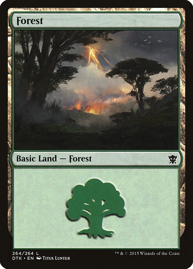 Forest 「DTK/264」「EN」