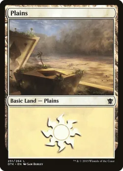 Plains 「DTK/251」「EN」
