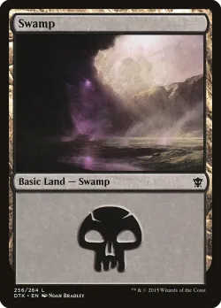 Swamp 「DTK/256」「EN」