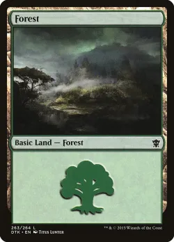 Forest 「DTK/263」「EN」