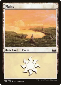 Plains 「DVD/29」「EN」