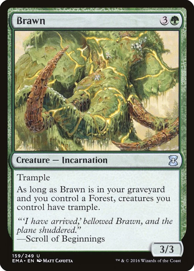 Brawn 「EMA/159」「EN」
